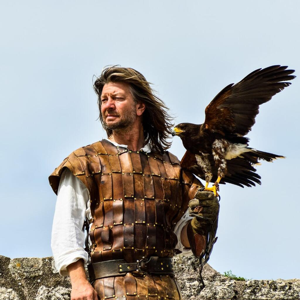 ISFP – The Falconer
