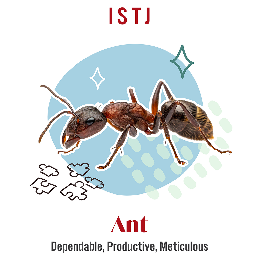 ISTJ - Ant